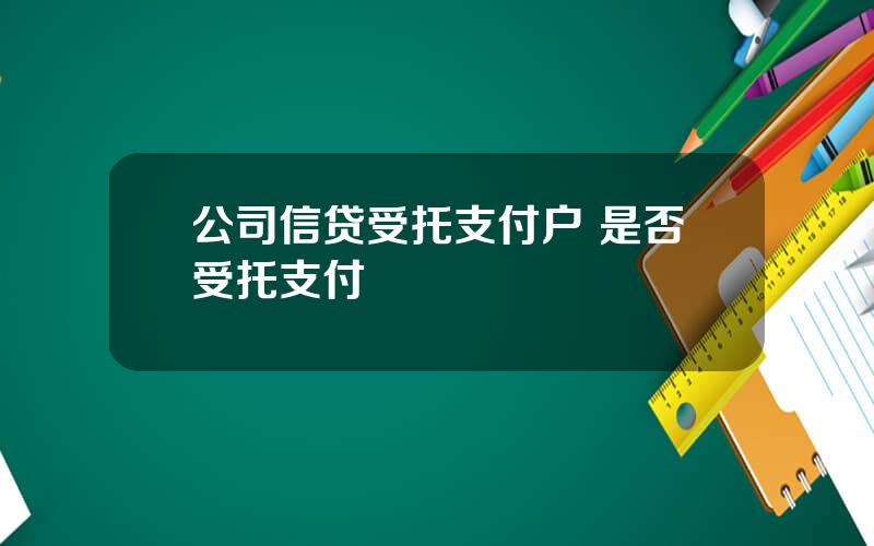 公司信贷受托支付户 是否受托支付